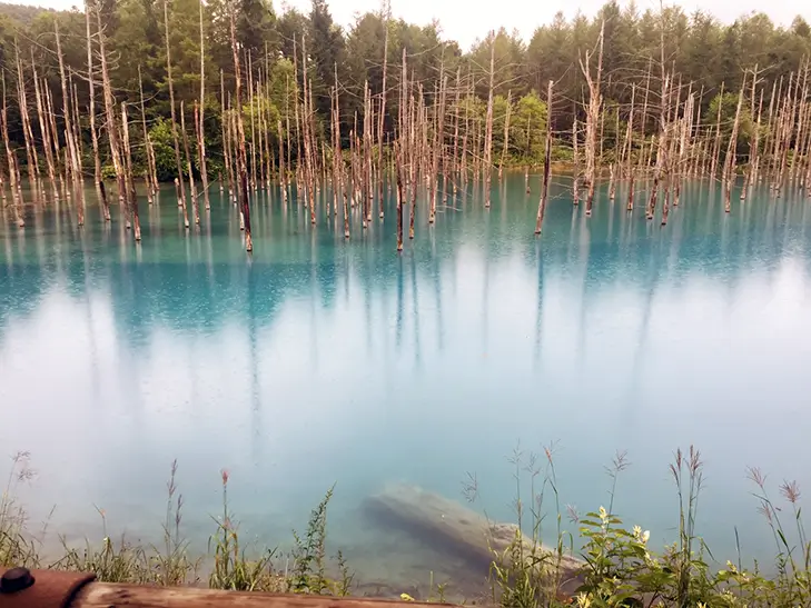 北海道の自然